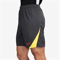 Nike Liverpool FC Strike Derde Short