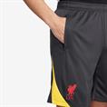 Nike Liverpool FC Strike Derde Short