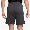 Nike Liverpool FC Strike Derde Short