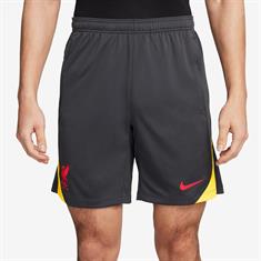 Nike Liverpool FC Strike Derde Short
