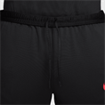 Nike Liverpool FC Strike Special Edition broek