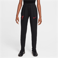 Nike Liverpool FC Strike Special Edition broek