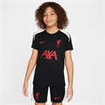 Nike Liverpool FC Strike Special Edition top