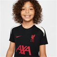 Nike Liverpool FC Strike Special Edition top