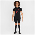 Nike Liverpool FC Strike Special Edition top