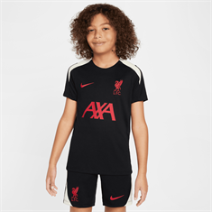 Nike Liverpool FC Strike Special Edition top