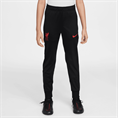 Nike Liverpool FC Strike Special Edition traingspak