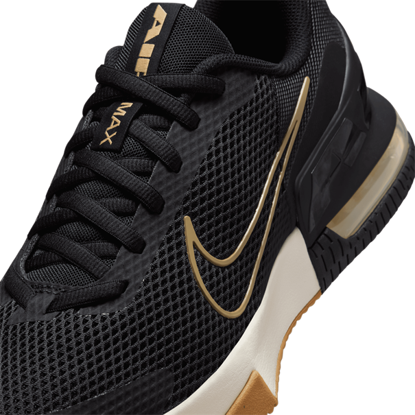 Nike M AIR MAX ALPHA TRAINER 6