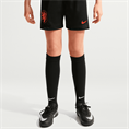 Nike netherlands 2025/26 stadium home bi