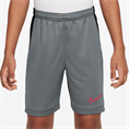 Nike nike academy big kids' dri-fit 7i s