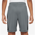 Nike nike academy big kids' dri-fit 7i s