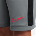 Nike nike academy big kids' dri-fit 7i s