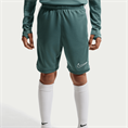 Nike nike academy big kids' dri-fit 7i s