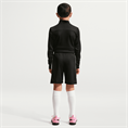 Nike nike academy big kids' dri-fit 7i s