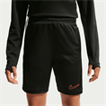 Nike nike academy big kids' dri-fit 7i s