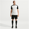 Nike nike academy men's dri-fit short-sl