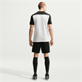 Nike nike academy men's dri-fit short-sl