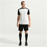 Nike nike academy men's dri-fit short-sl
