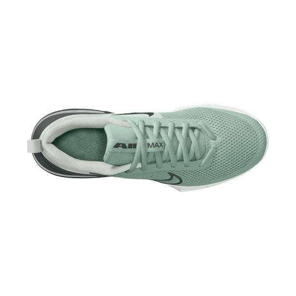Nike nike air max alpha trainer 6 men's