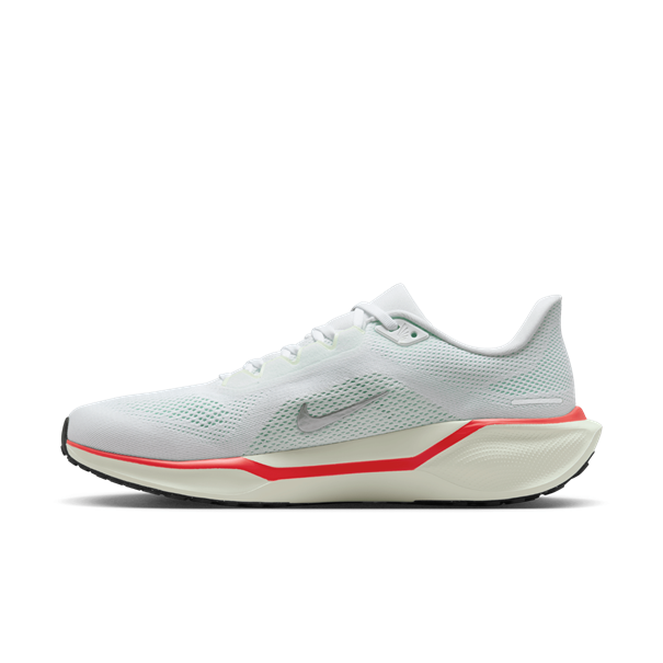 Nike nike pegasus 41 men's road running