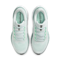 Nike nike pegasus 41 women's road runnin