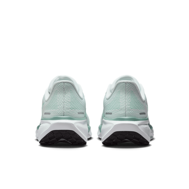 Nike nike pegasus 41 women's road runnin