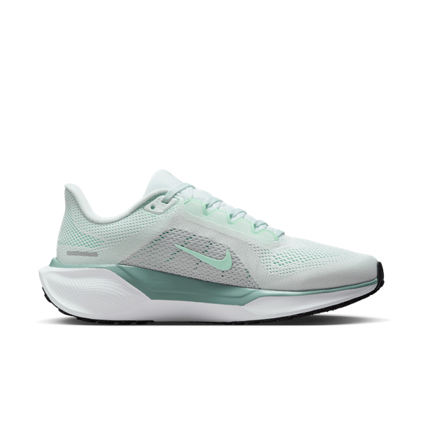 Nike nike pegasus 41 women's road runnin