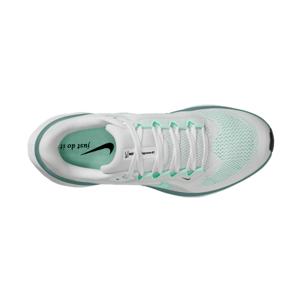 Nike nike pegasus 41 women's road runnin