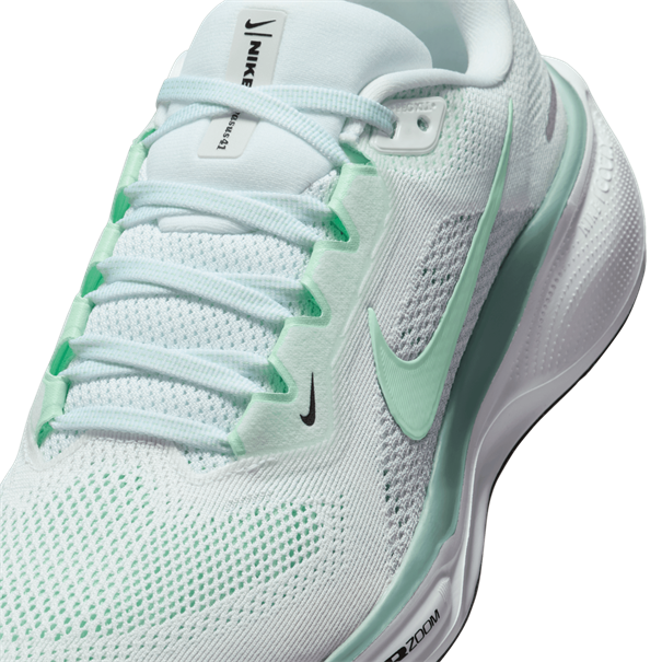 Nike nike pegasus 41 women's road runnin