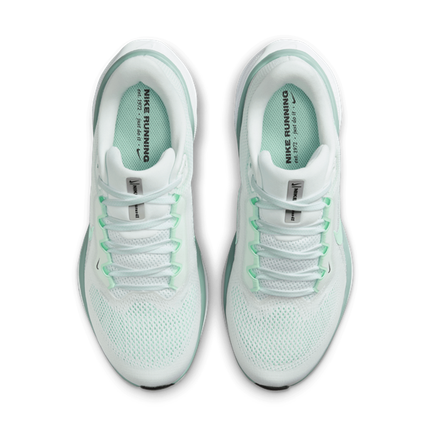Nike nike pegasus 41 women's road runnin