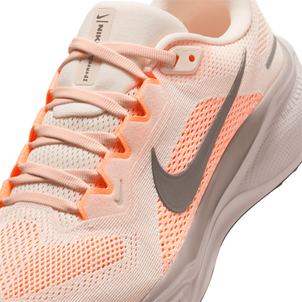 Nike nike pegasus 41 women's road runnin