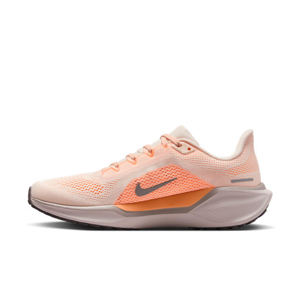 Nike nike pegasus 41 women's road runnin