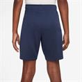 Nike Paris Saint-Germain Strike Short Kids 2025/2026