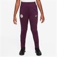Nike Paris SaintGermain Strike DriFIT knit