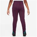 Nike Paris SaintGermain Strike DriFIT knit