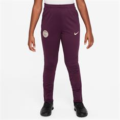 Nike Paris SaintGermain Strike DriFIT knit