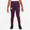 Nike Paris SaintGermain Strike DriFIT knit
