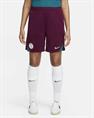 Nike Paris SaintGermain Strike Jordan DriFIT knit