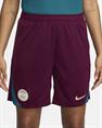 Nike Paris SaintGermain Strike Jordan DriFIT knit
