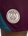Nike Paris SaintGermain Strike Jordan DriFIT knit