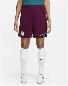 Nike Paris SaintGermain Strike Jordan DriFIT knit