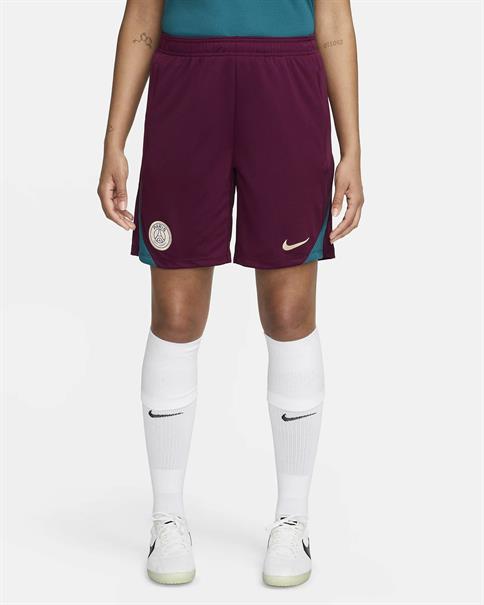 Nike Paris SaintGermain Strike Jordan DriFIT knit