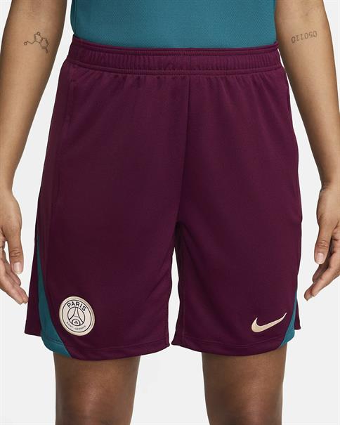 Nike Paris SaintGermain Strike Jordan DriFIT knit