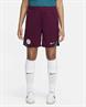 Nike Paris SaintGermain Strike Jordan DriFIT knit