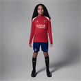 Nike Paris SaintGermain Strike Vierde top