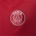 Nike Paris SaintGermain Strike Vierde top