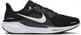 Nike Pegasus 41 Hardloopschoenen Heren zwart (straat)
