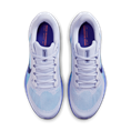 Nike Pegasus 41 Hardloopschoenen voor heren (straat)