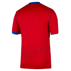 Nike psg m nk df jsy ss stad 3r