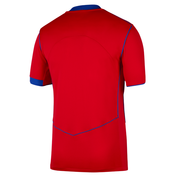 Nike psg m nk df jsy ss stad 3r